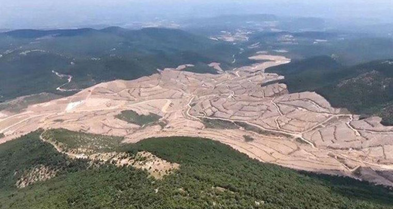 Cengiz, Kazdağları’nda  1 milyon ağaç kesecek