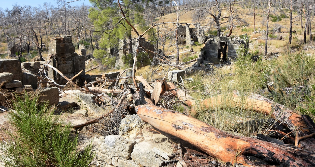 Cumhuriyet tarihinin en büyük yangınında zarar görmüşlerdi: Antik yapının üzerine devrildiler
