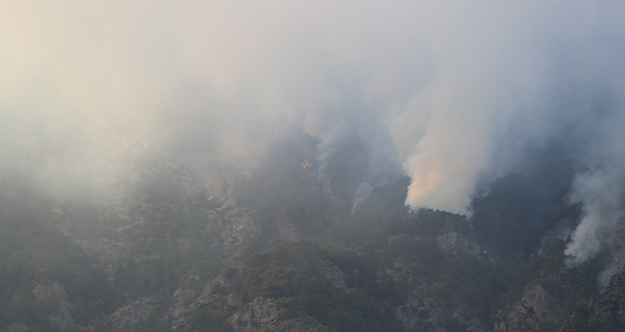 Denizli’de üç gündür ormanlar cayır cayır yanıyor!