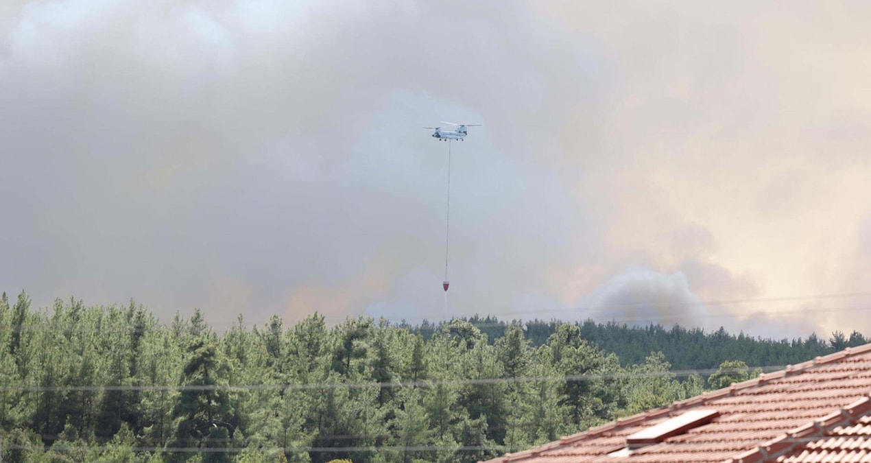 İki ilçedeki orman yangınlarına elektrik telleri neden olmuş