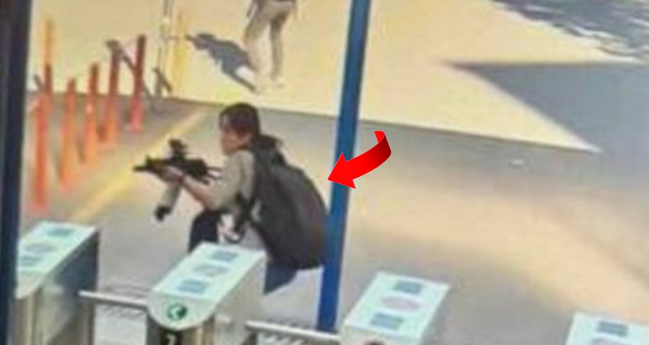 Kadın terörist HDP üyesi çıktı