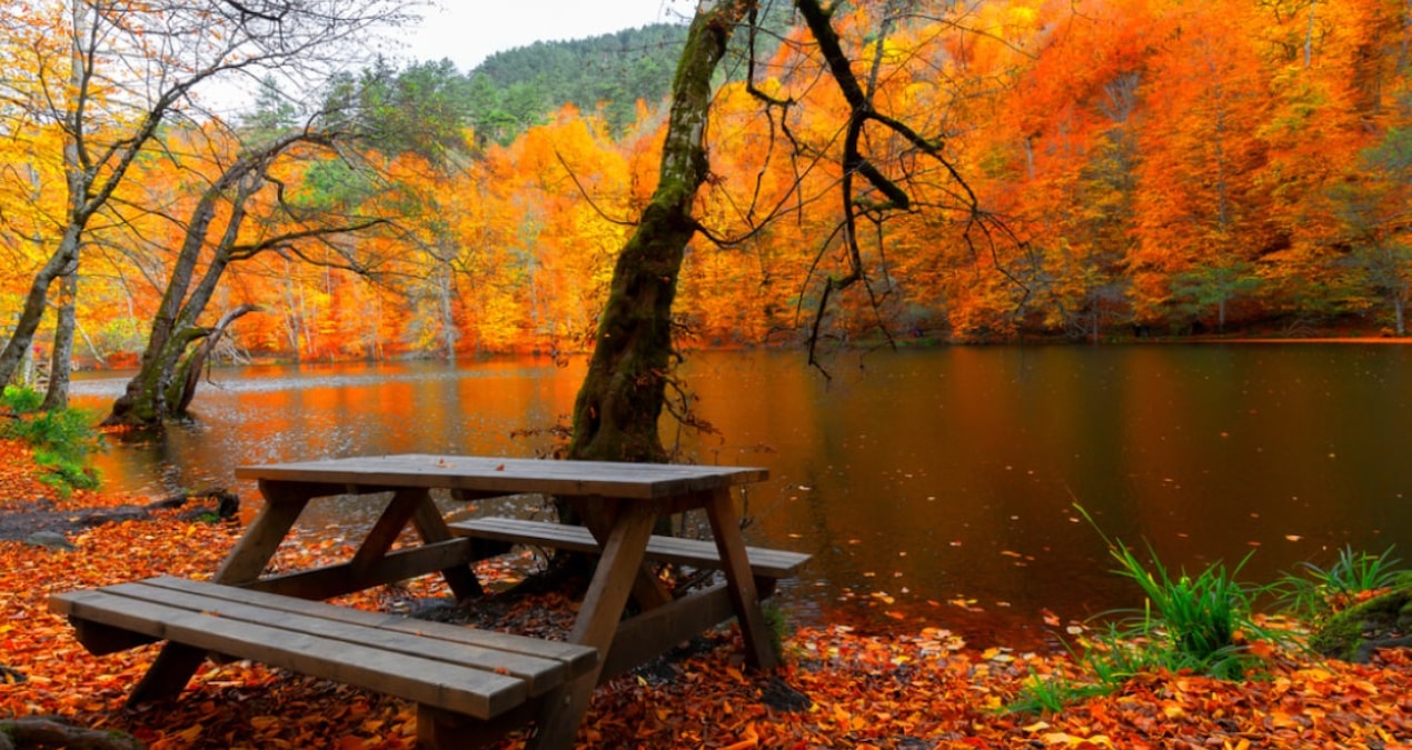 Kasım’da bir başka güzel! Mutlaka görmeniz gereken 5 yer…