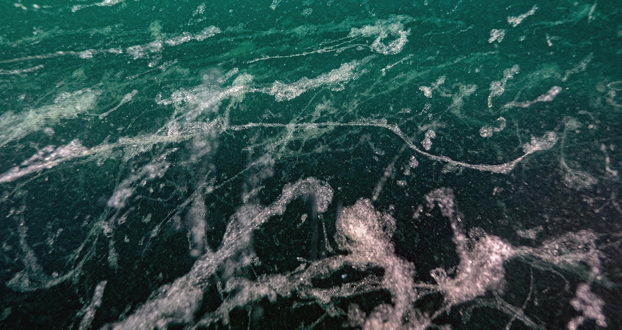 Prof. Dr. Sarı duyurdu: Kabus üç yıl sonra geri döndü