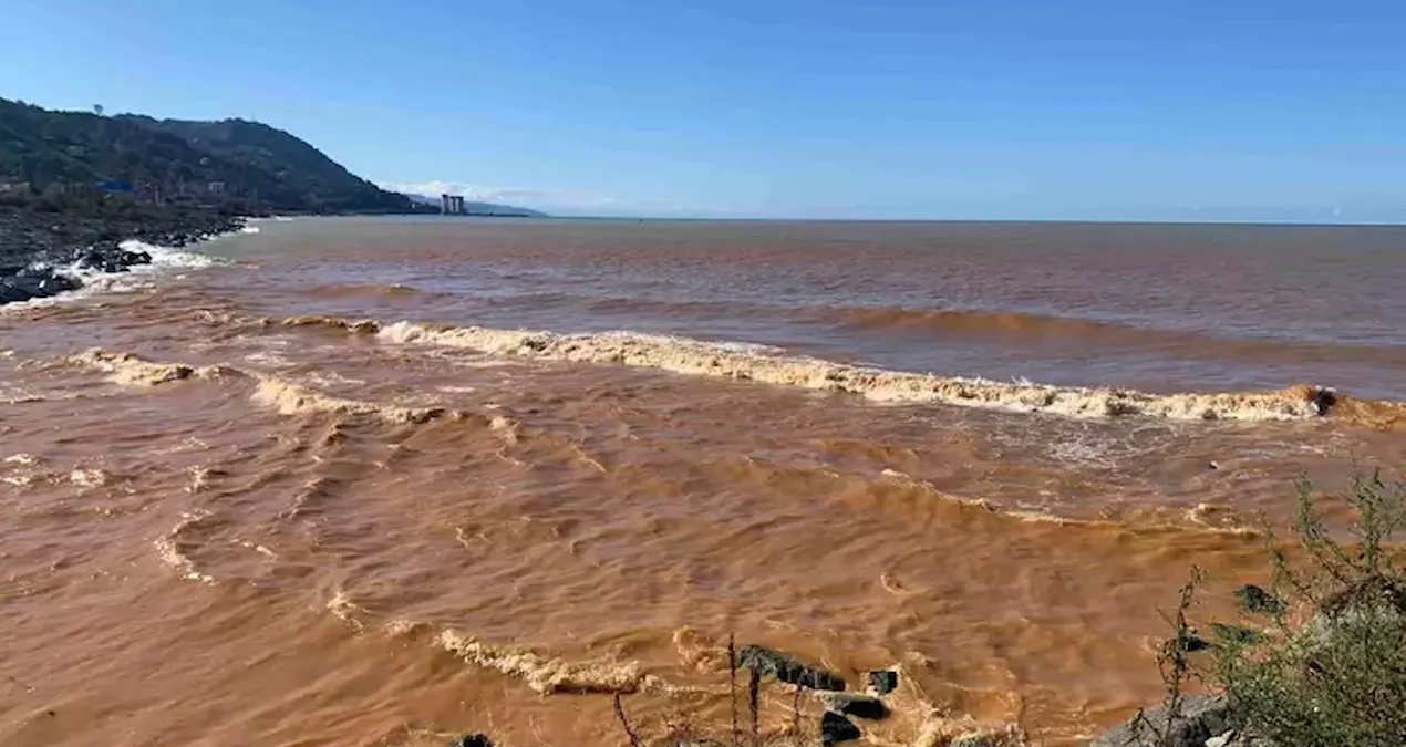 Rize’de sağanak sonrası çamurlu sular denizin rengini değiştirdi