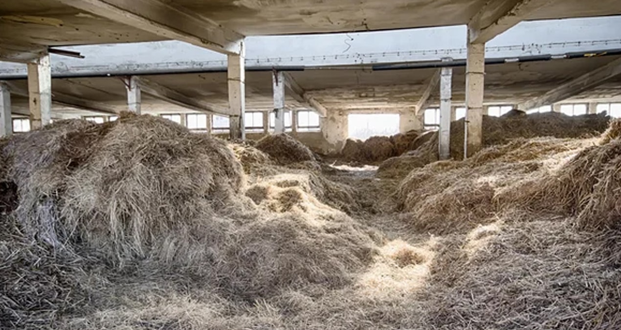 Samanlıktan servet çıktı: Roma ve Bizans dönemine aitler…