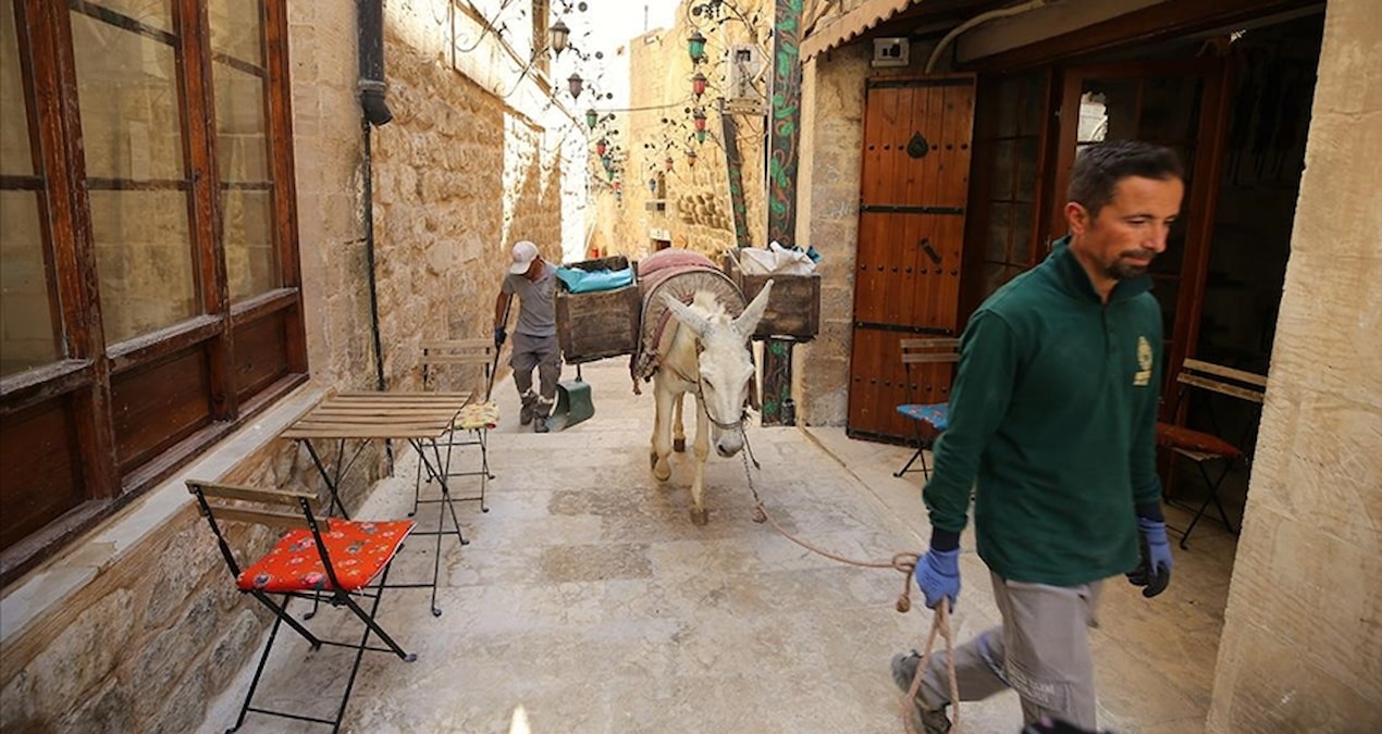 Çöp taşıyan eşekler ’emekli’ edilecek