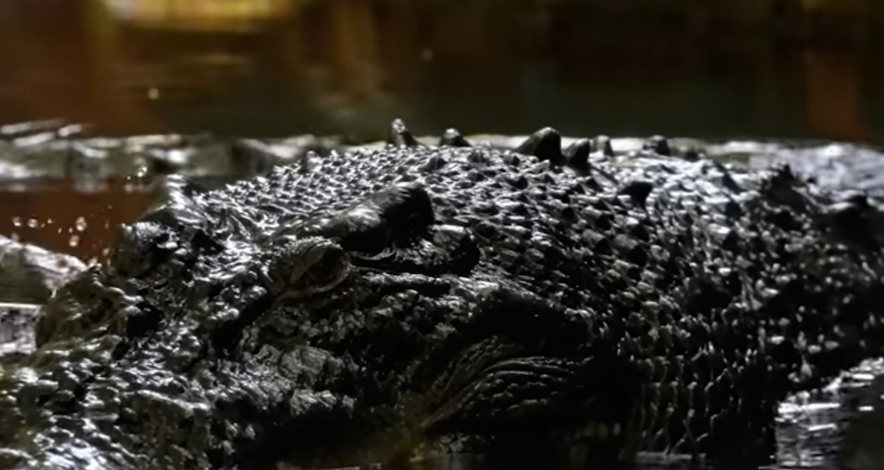 Guinnes rekorlar kitabına girmişti: 120 yaşında hayatını kaybetti