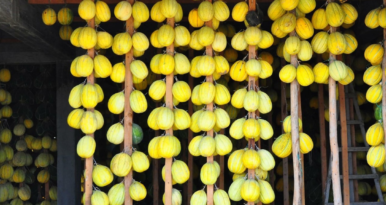 Hasat gecikti, ürünler askıya alındı: Yazın kilosu 5 lira, kışın 20 lira