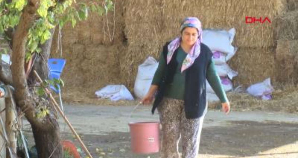 Hediye keçiyle hayvancılığa başladı; sürü sahibi oldu