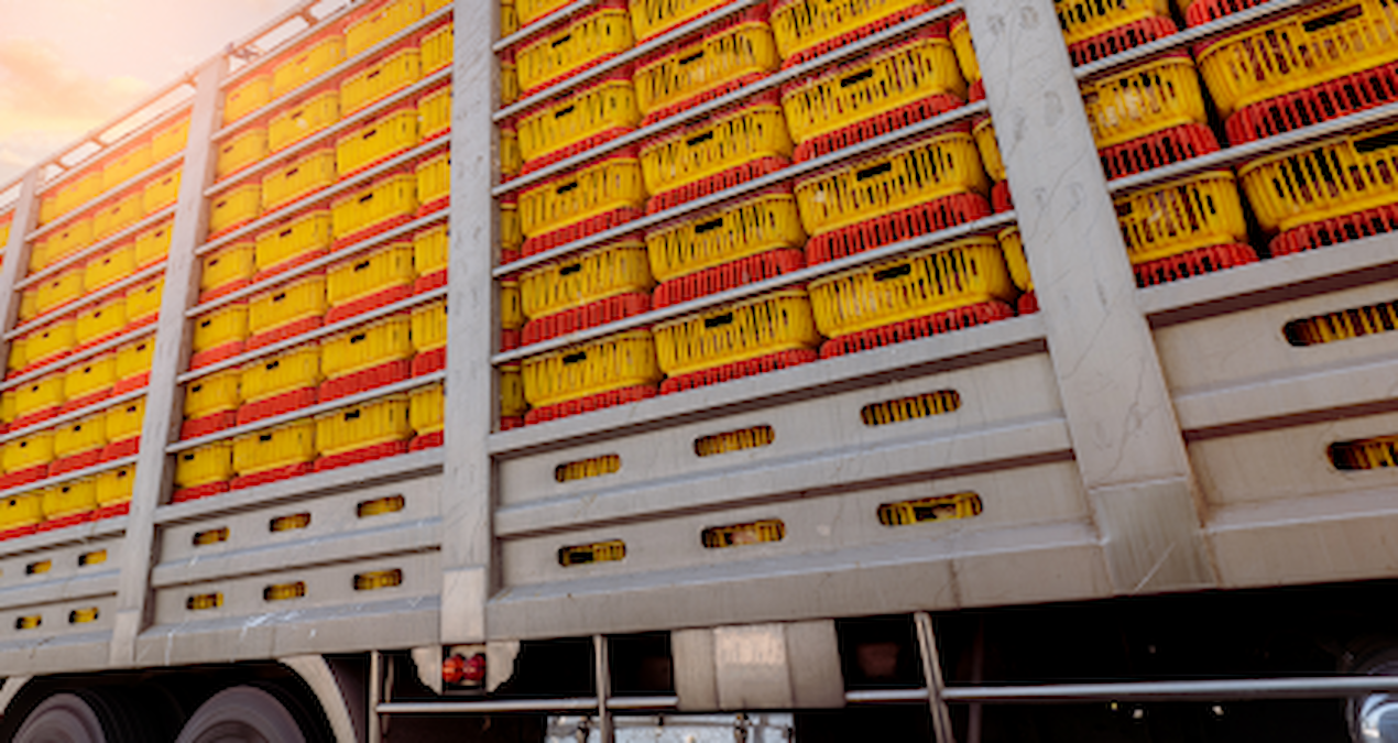 İtalya ve İsveç’in kabul etmediği yiyecekler Türkiye’ye gönderildi