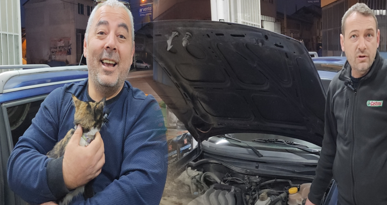 Kaybolan kedi ‘Leydi’ bir gün sonra otomobilin kaputundan çıktı