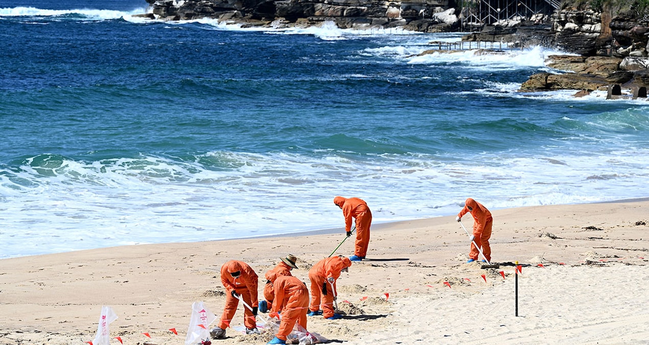 Sahillere vuran ‘zehirli’ siyah topların gizemi çözüldü