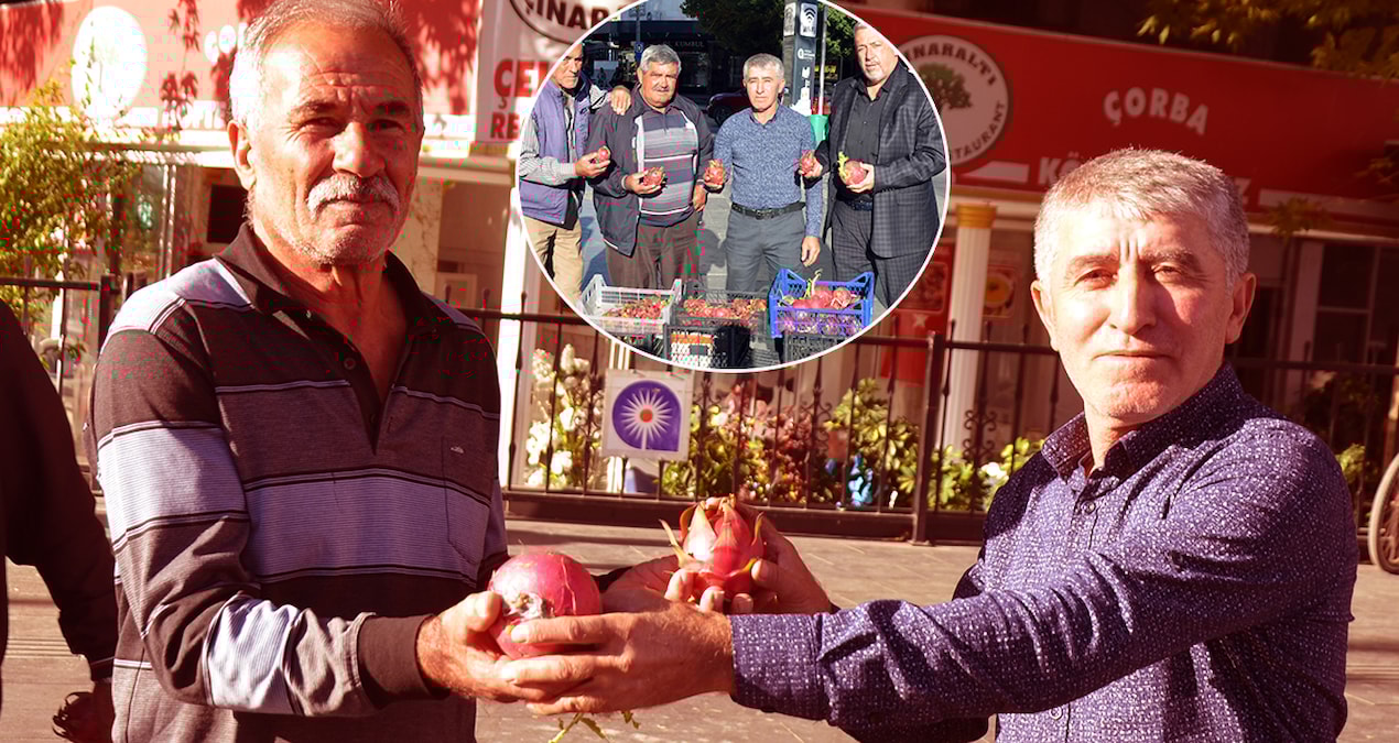 Trump başkan seçilince pahalı meyveden 2 bin tane dağıttı