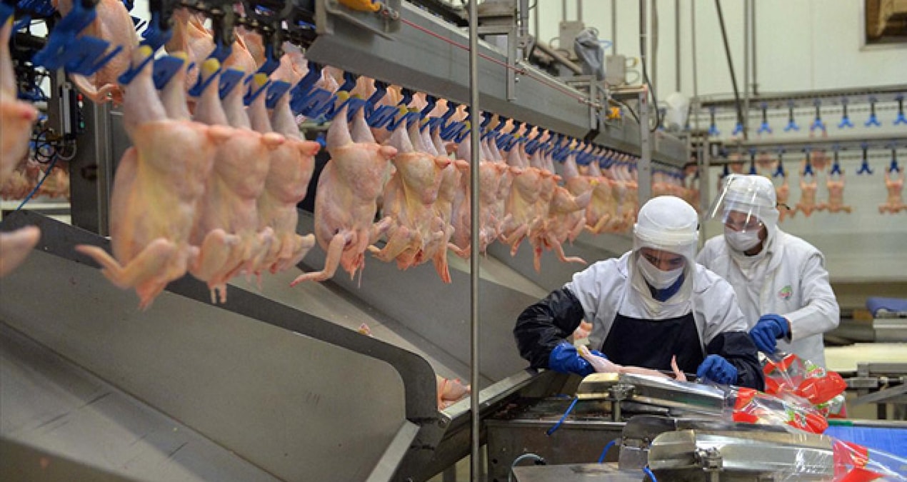 Türkiye’nin en büyüğüydü: Gıda devi iflasın pençesinde