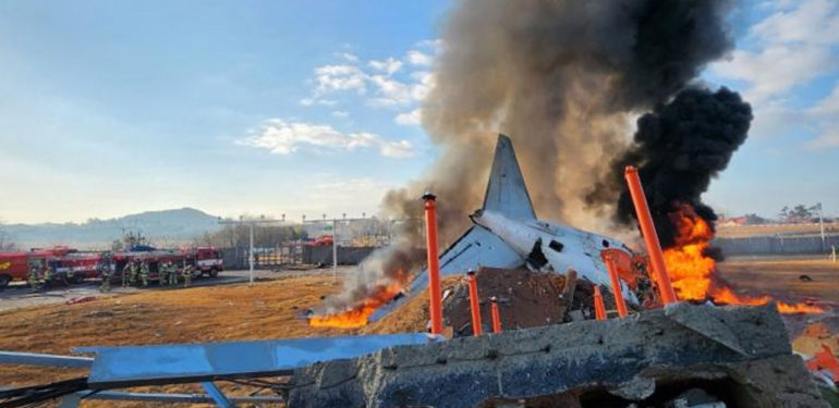 Güney Kore’deki uçak kazasında kuş çarpması ihtimali tartışılıyor