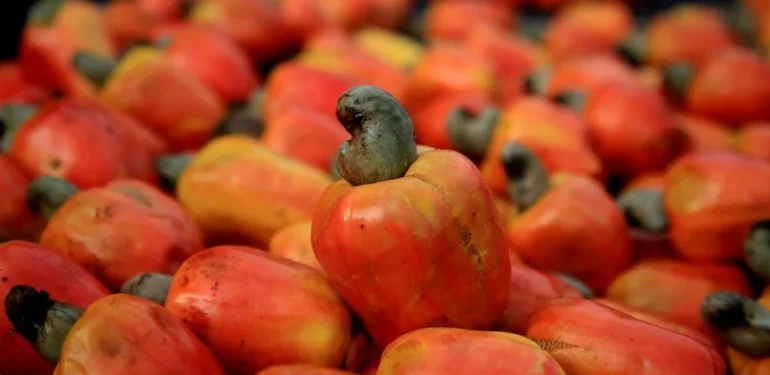 Sabahları Bir Avuç Kaju Yemenin 5 Harika Faydası